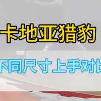 高珠星光、猎豹上手 | Cartier/卡地亚8.26日报