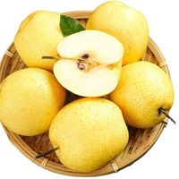 昨天出伏，嗓子干痒？秋梨膏和枇杷膏不是一回事：哪种咳买哪种、哪瓶是纯糖浆、多少钱算不坑