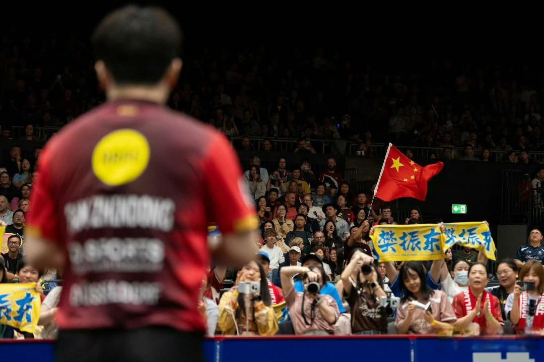 樊振东客场挑战不来梅,德甲强强对话上演“新仇旧怨”