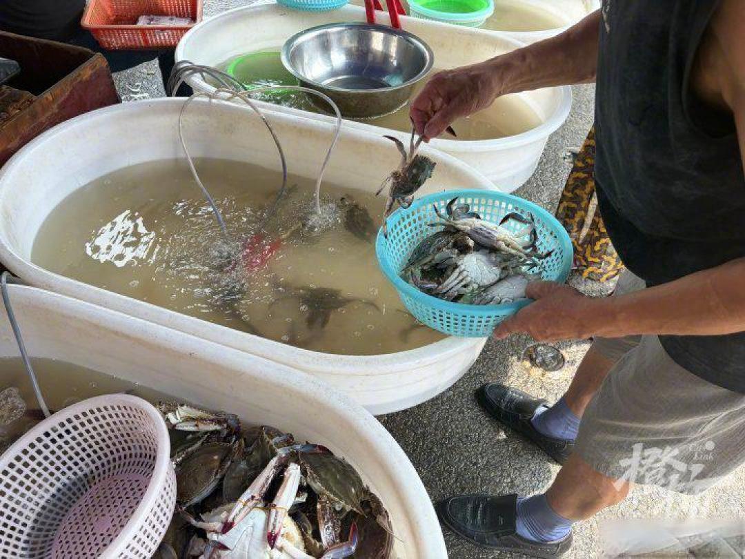 从深夜拼蟹到清蒸yyds,浙江人被梭子蟹支配的秋天