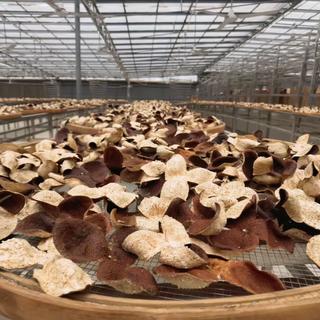 央视曝光"30天速成年皮"，地标都能贴牌：陈李济们的品牌陈皮，溢价还值不值？