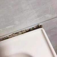 全网疯传的84除霉法，最高赞评论却是翻车实录：胶条发霉的三条路，从5块到100块