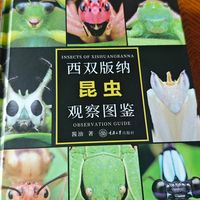 新出的《西双版纳昆虫观察图鉴》被无穷小亮评“值得收藏”：谁该买、怎么用，一次说清