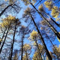 “秋天第一爬”刷屏，但立秋≠入秋：追仪式感之前，先看22℃这条线和你所在城市的入秋窗口期