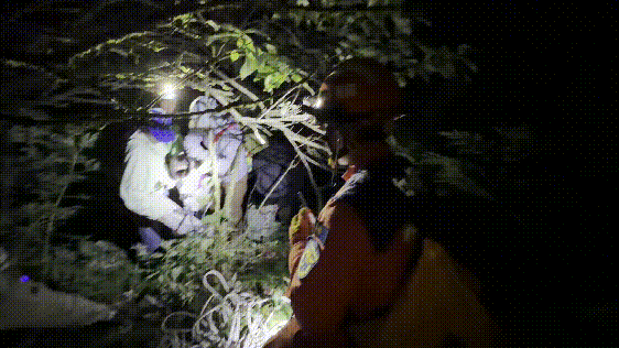 山野备忘录｜带 6 岁孩子跟一条网上轨迹进山，深夜困在灌木丛里