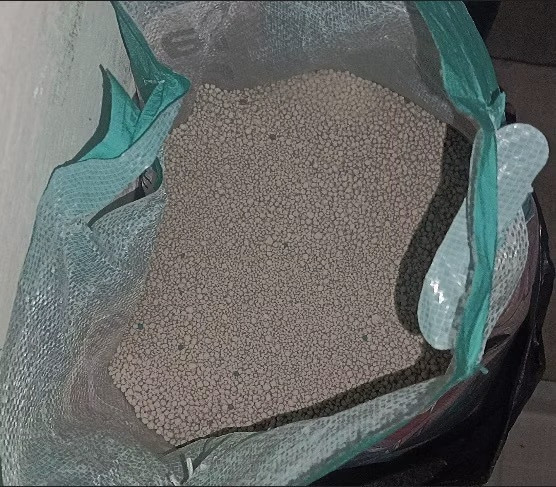 选猫砂需考虑猫咪体质