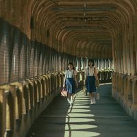 舒淇宣布第二部电影《女人》：《女孩》票房只有471万，却连拿三项奖——侯孝贤的“缪斯”到底继承了什么？