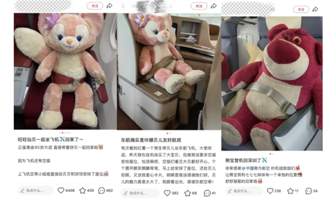 网友给玩偶单独买机票引热议!多家航司回应:已推出占座行李服务