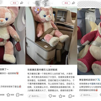 网友给玩偶单独买机票引热议！多家航司回应：已推出占座行李服务