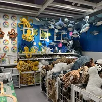 宜家承诺再降价一年，“小宜家”越开越多