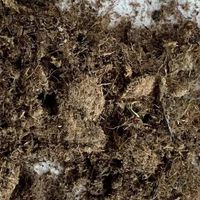 9块9的20斤和3块多一斤的进口货：秋播换盆前，先搞懂这笔土钱