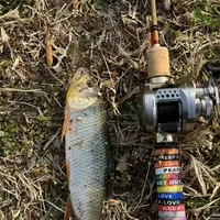 马口咬竿刷屏了，但别急着下单装备：8月底出钓窗口关掉前，先答完这三问