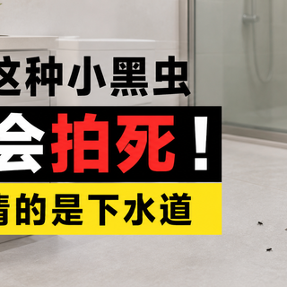 卫生间这种小黑虫是“移动病菌库”，真正该清的是这里！