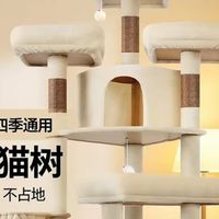 大猫狂喜！占地小却超能装的猫爬架✨