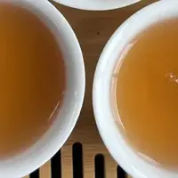 网上买茶测评-柑外婆梅江小青柑