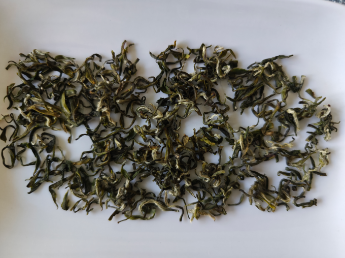 跃华茶绿茶