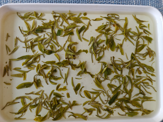 跃华茶绿茶