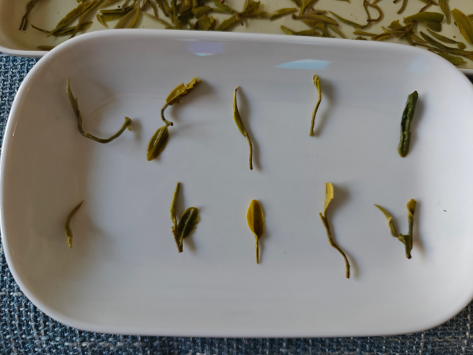 跃华茶绿茶