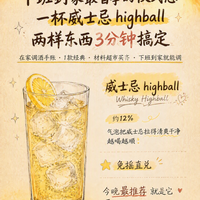 下班到家最省事的仪式感：一杯威士忌 highball，两样东西、3 分钟搞定
