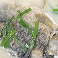 清炖鲫鱼的家常做法