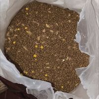 选狗粮看懂配料表全价粮优先