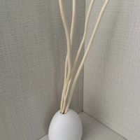 人生第一房改造:几块钱的快乐,租房党的松弛感拿捏了!