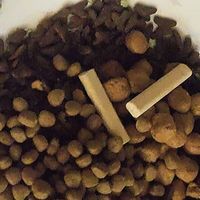 科学选猫粮四步走