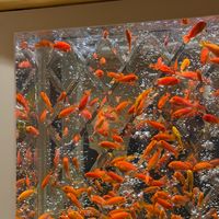永利澳门9月“换挡”:500元餐券只能领到8月31日,9月1日四处换时间,别拿着过期攻略就去