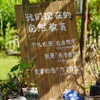 从4.6万/年到只是挂名：入园季5个观察点，看清"森林幼儿园"的真假