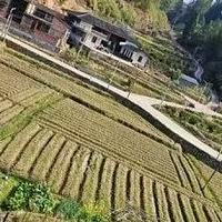 经常喝咖啡抽烟的上班族收藏！牙医推荐美白牙膏，去渍状态很关键