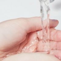 闭口反复的油痘肌新手，4支洗面奶从温和控油到清洁力一次理顺

