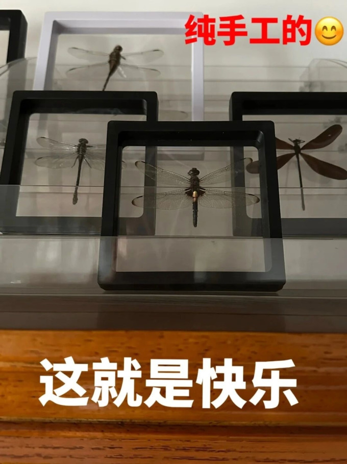 收纳用品