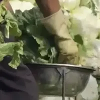 「甲醛白菜」上热搜，花爸两年前的视频却被「炸」了……