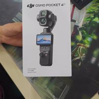 Pocket 4 Pro：重量与性能的平衡