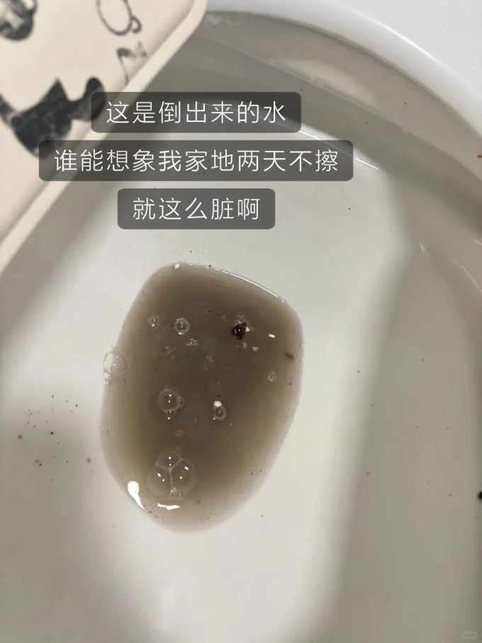 石头无线洗地机