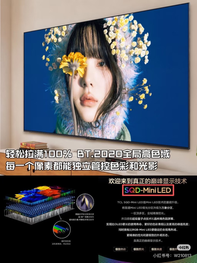 电视
