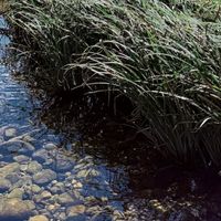 洗面奶控油哪个牌子最好用？亲测分享5款温和不伤肤