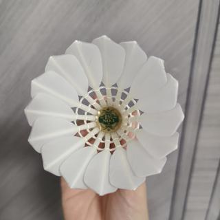 从亚1到亚10，还有U、S、A9和5 Plus：亚狮龙的型号乱象，这回一次讲明白
