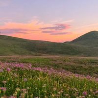 「开了三分之一」和「已经盛花期」同时在刷屏，都没说谎：韭菜坪的花是分片开的，押哪周、走哪个门先看这篇
