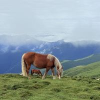 今年已经封了三次山，昨晚又遇山洪：国庆去五台山朝台，先把这张"天气窗口"表看明白
