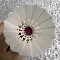降价才半年，亚狮龙又悄悄回涨：四周追踪三期喊涨，秋天前补球先看这三个信号