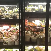有人50刀捡漏搞定，有人配齐花2000出头：翻了60多篇热植柜晒柜帖和翻车帖，我把秋天开柜选哪档理清了