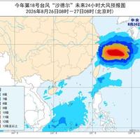 两天内两个台风接力登陆，正好卡在秋白茶开采季前：今年秋茶会减产涨价吗，三类人的方案都在这