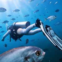 “2天速通”拿了4500赞，“考证失败听劝”也在刷屏：秋天报班前，先看清速通压缩的是什么