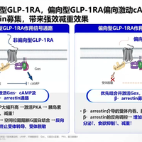 同一支减重针，1200、400、100块三个价：国产司美格鲁肽冲刺，“降价”值得等吗？