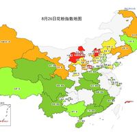 北方蒿草花粉已进入高峰期：翻了官方预报、9年老病号实录和用药科普——什么阶段用药、装备怎么买、哪些坑值得避，一次说清