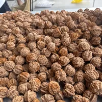 成品对20不到包邮，今年一颗青皮却喊到4000+：2026青皮季开青皮前先算这三笔账