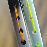买拍只是首付：一年4到8根线、一次拉线60到120元，我把全网的线、磅数和行价对了一遍