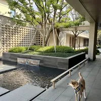 清洁费比房费贵、大型犬当场被拒:“宠物友好”酒店里,多少是真的