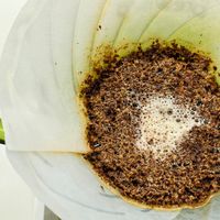 水温差3℃，味道真的天差地别？对完两派实测、SCA标准和5套热门方案：温控壶的钱，不是谁都该花